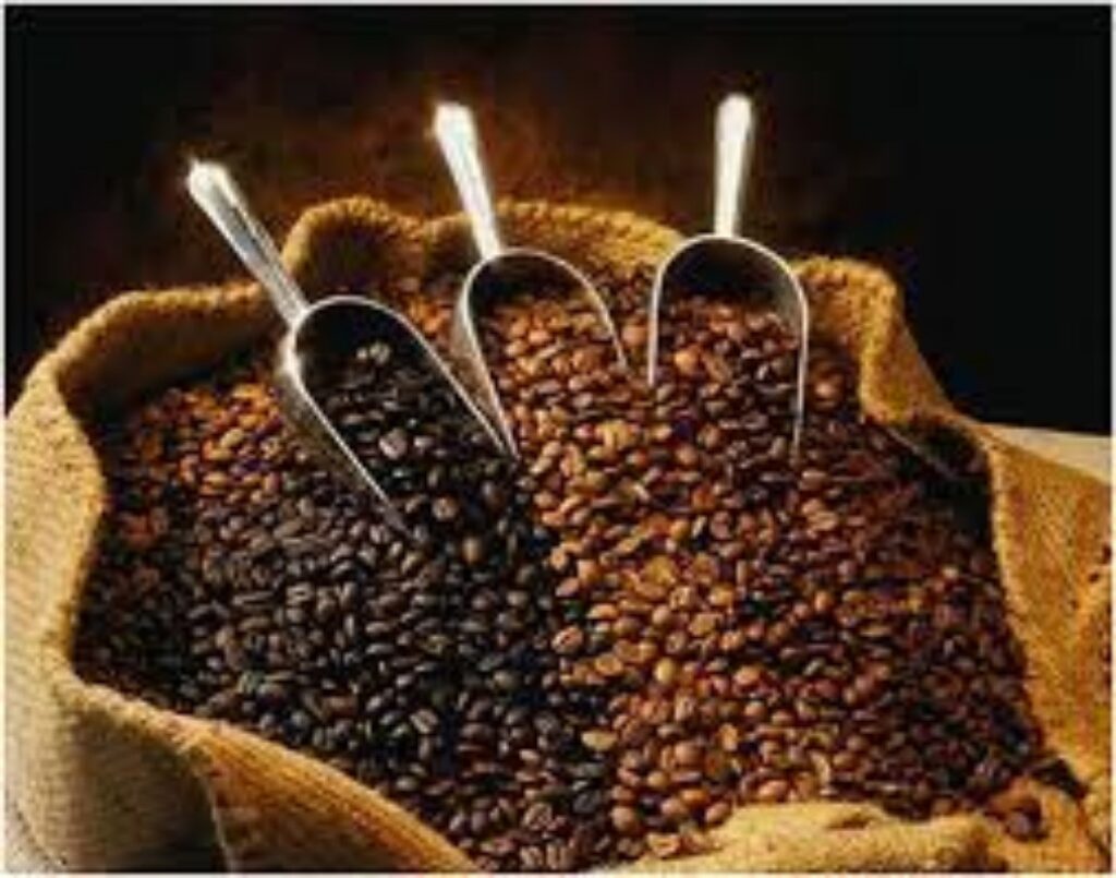 تاريخ القهوة العربية و لماذا سميت خمر الصالحين .. و الأساطير حول موطنها الأصلي 