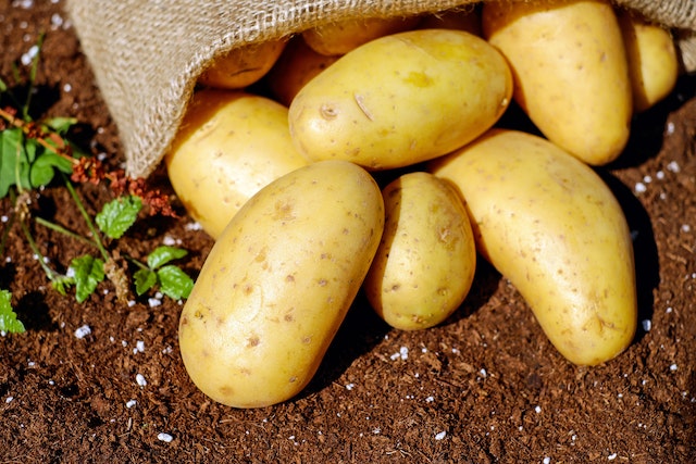 السعرات الحرارية في البطاطس - القيمة الغذائية في البطاطس 