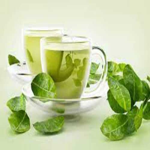 فوائد الشاي الأخضر .. وما هي أضرار الشاي الأخضر وطريقة تحضيره