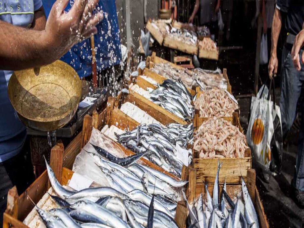 سوق السمك في أم القيوين .. تعرف على موقع وأوقات عمل سوق سمك أم القيوين