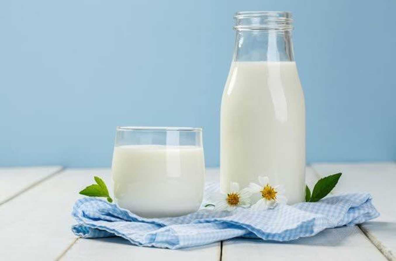 نسبة الكالسيوم في الحليب.. مصادر الكالسيوم.. فوائد الكالسيوم.. فوائد الحليب